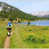 Beartooth Trails