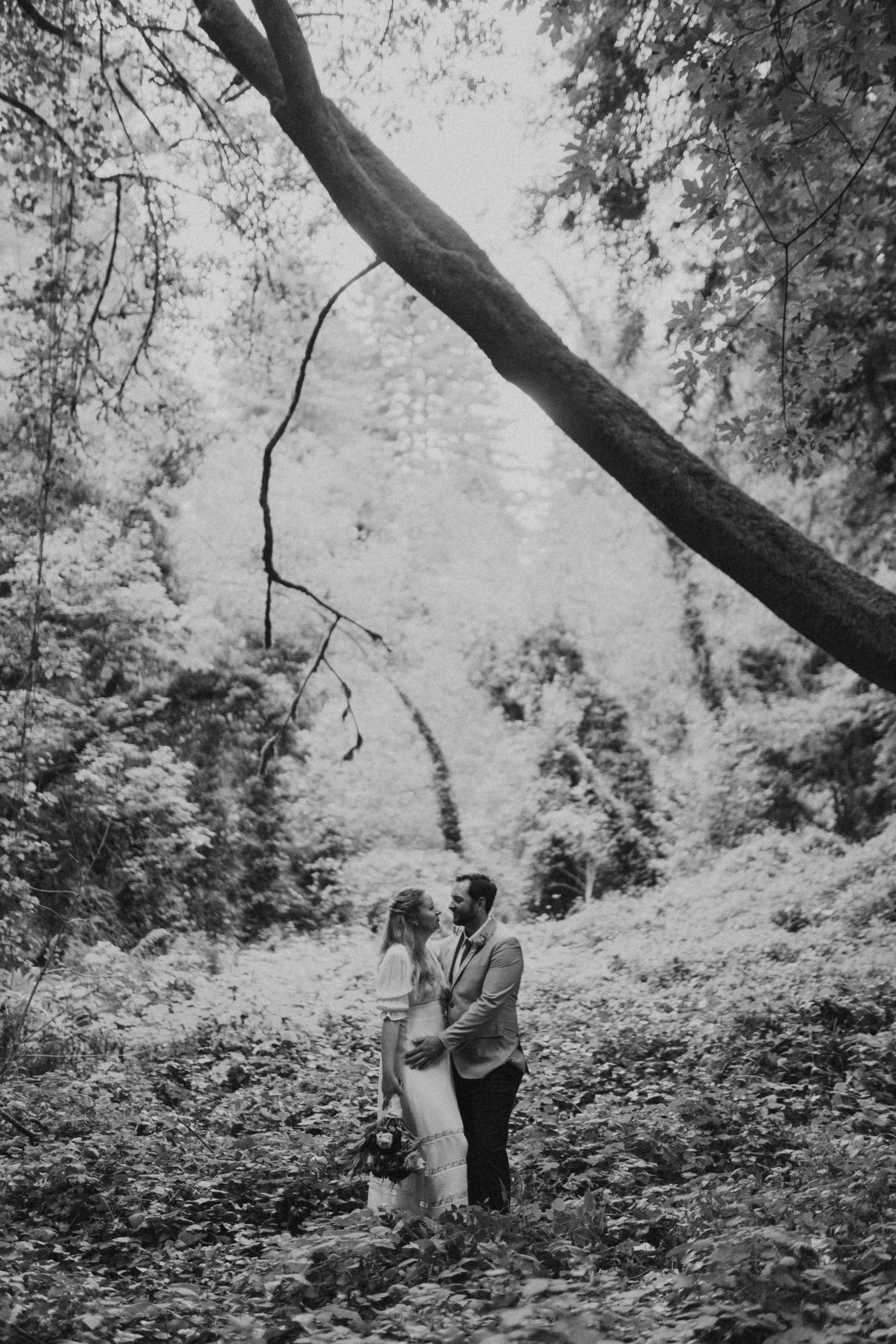 The Wedding Website of Kara Ash and Clayton Nicholson