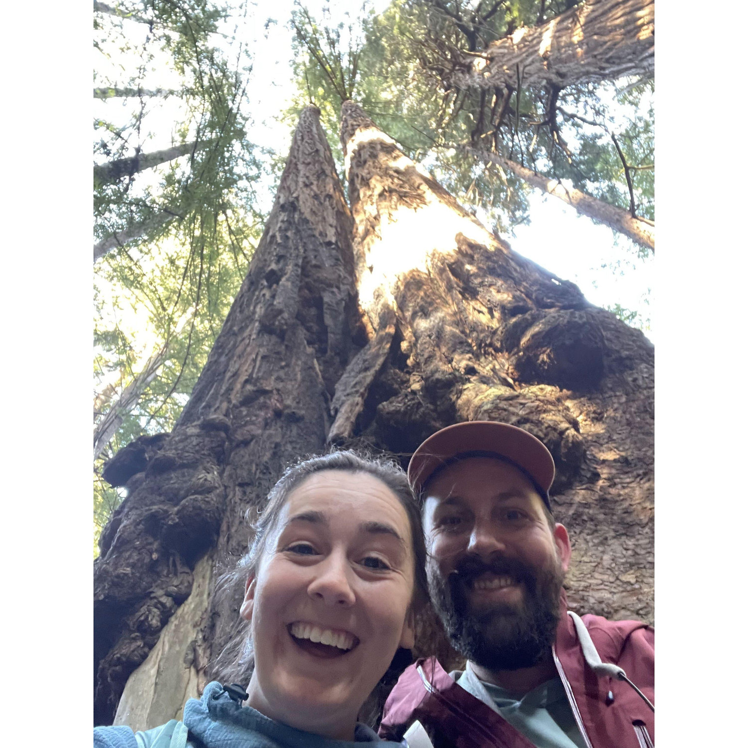 Muir Woods National Monument where Scott said "trees have never made me feel this way"