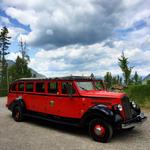 Red Bus Tour