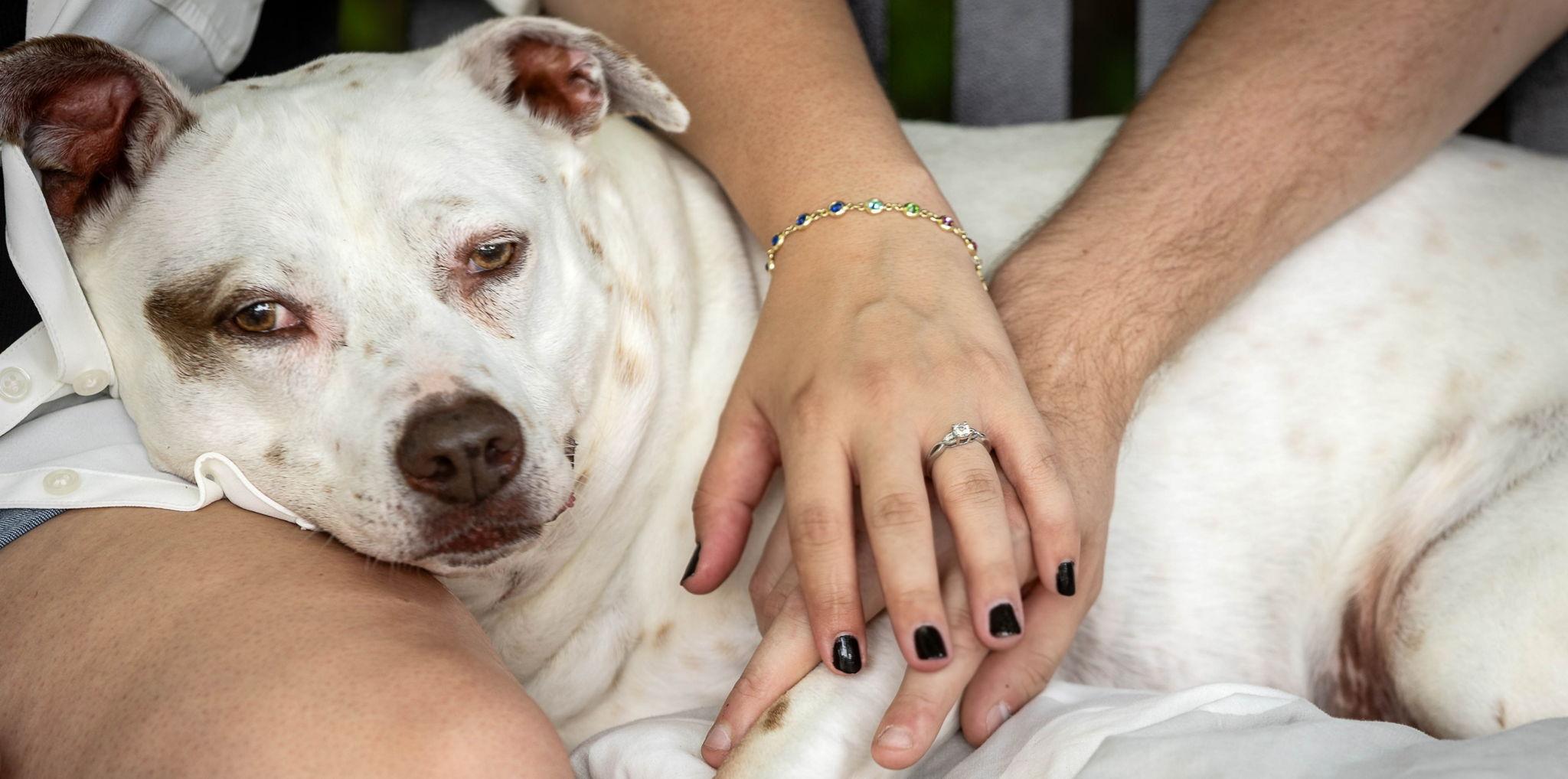 Querida Petersen and Ty Ramsey's Wedding Website