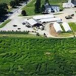 Marini's Farm