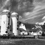 Rich Farm Ice Cream Shop