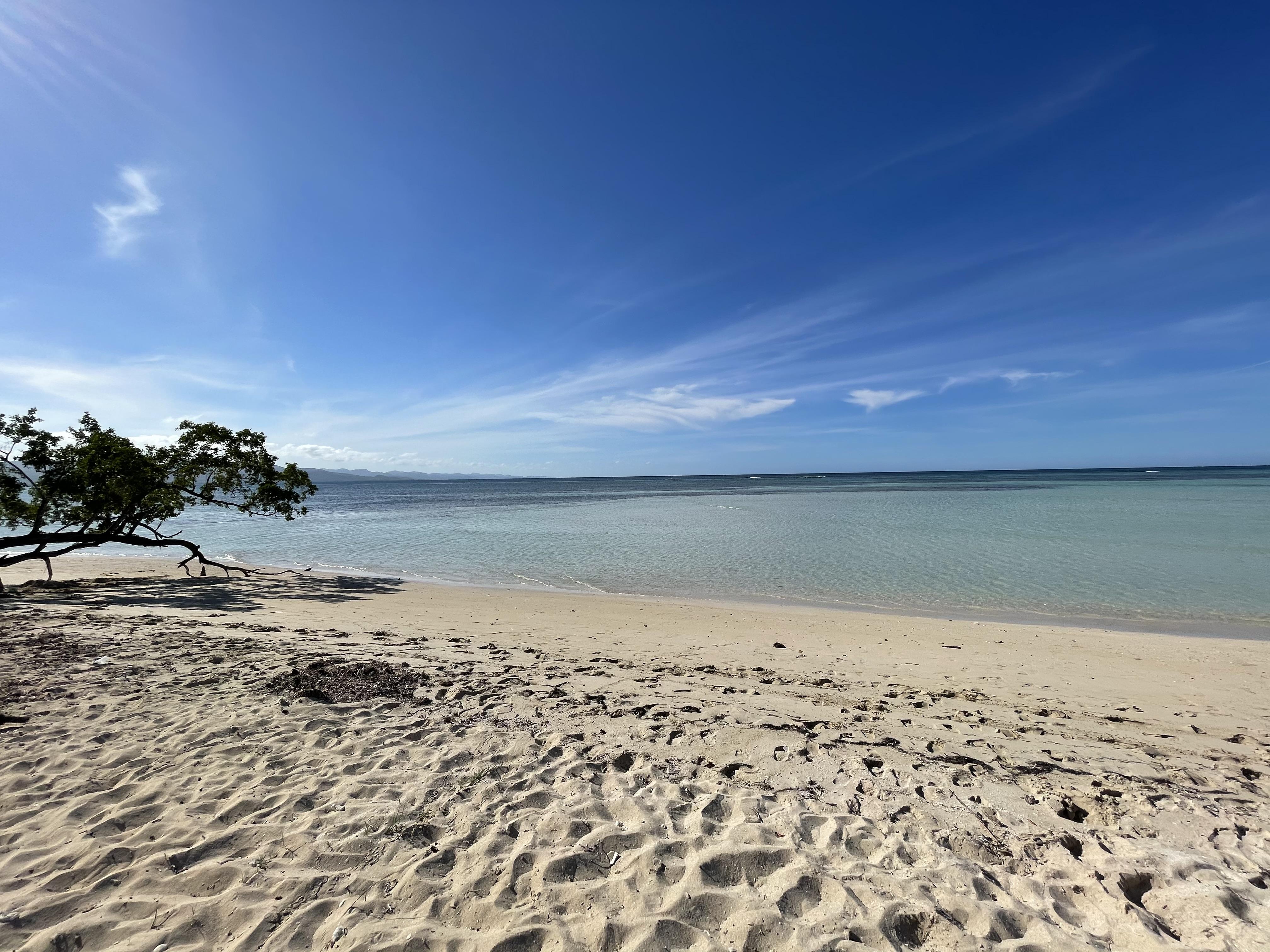 The Wedding Website of Chantal Mariel Fermín Güichardo and Erik Jo Kobussen