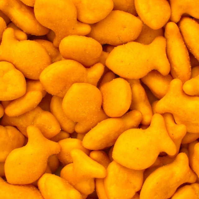Goldfish