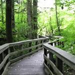 Wildwood Recreation Site