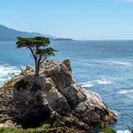 17 Mile Drive