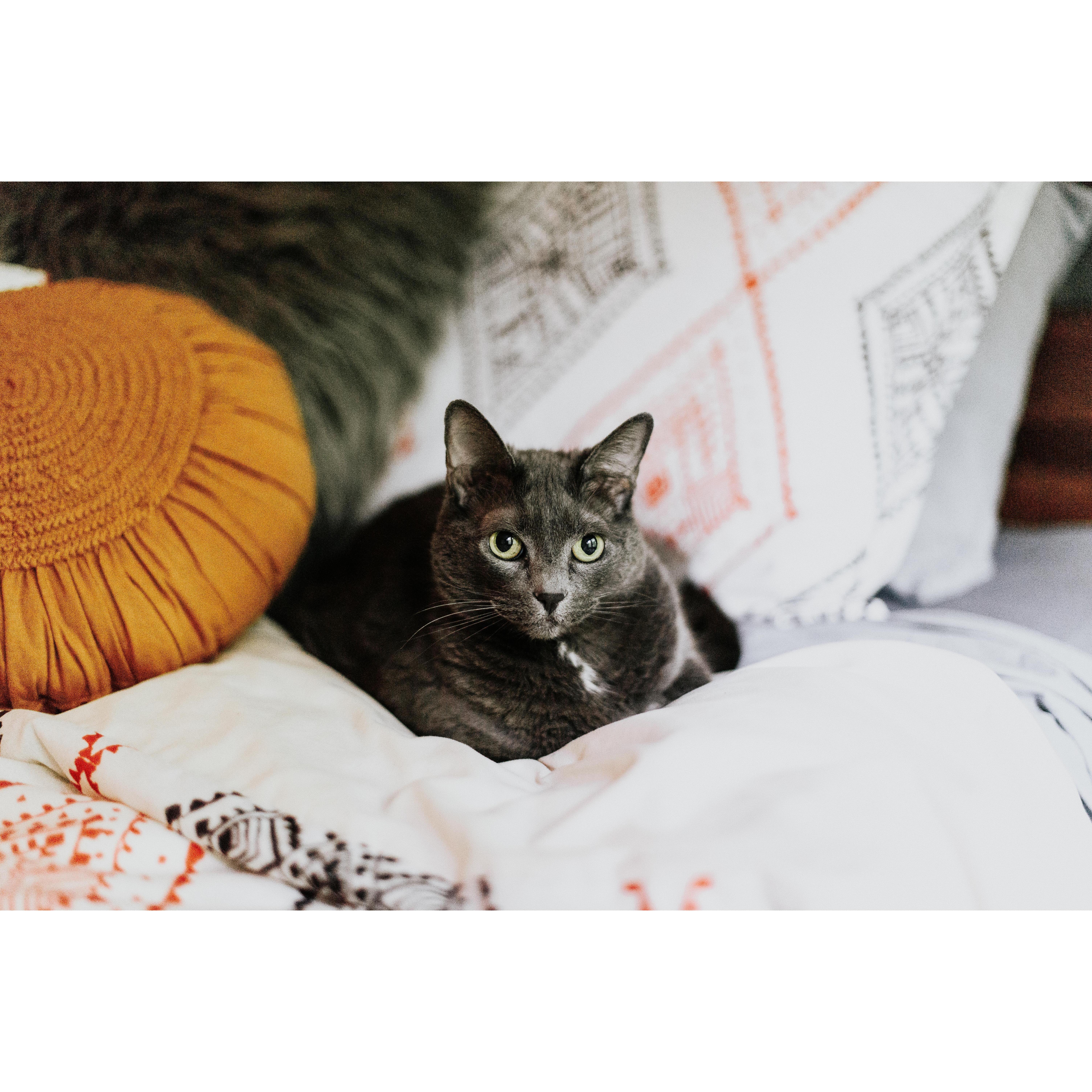Our baby, Olivia.