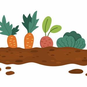 Gardening Supplies from Our Favorite Garden Store