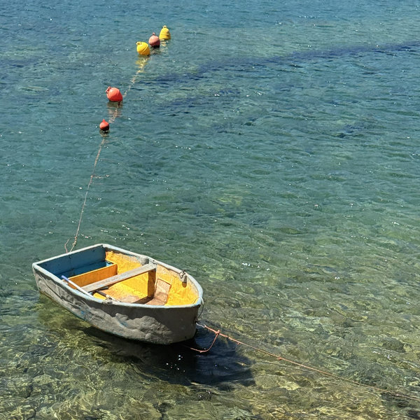 Our Honeymoon 🥰⛵️🍷