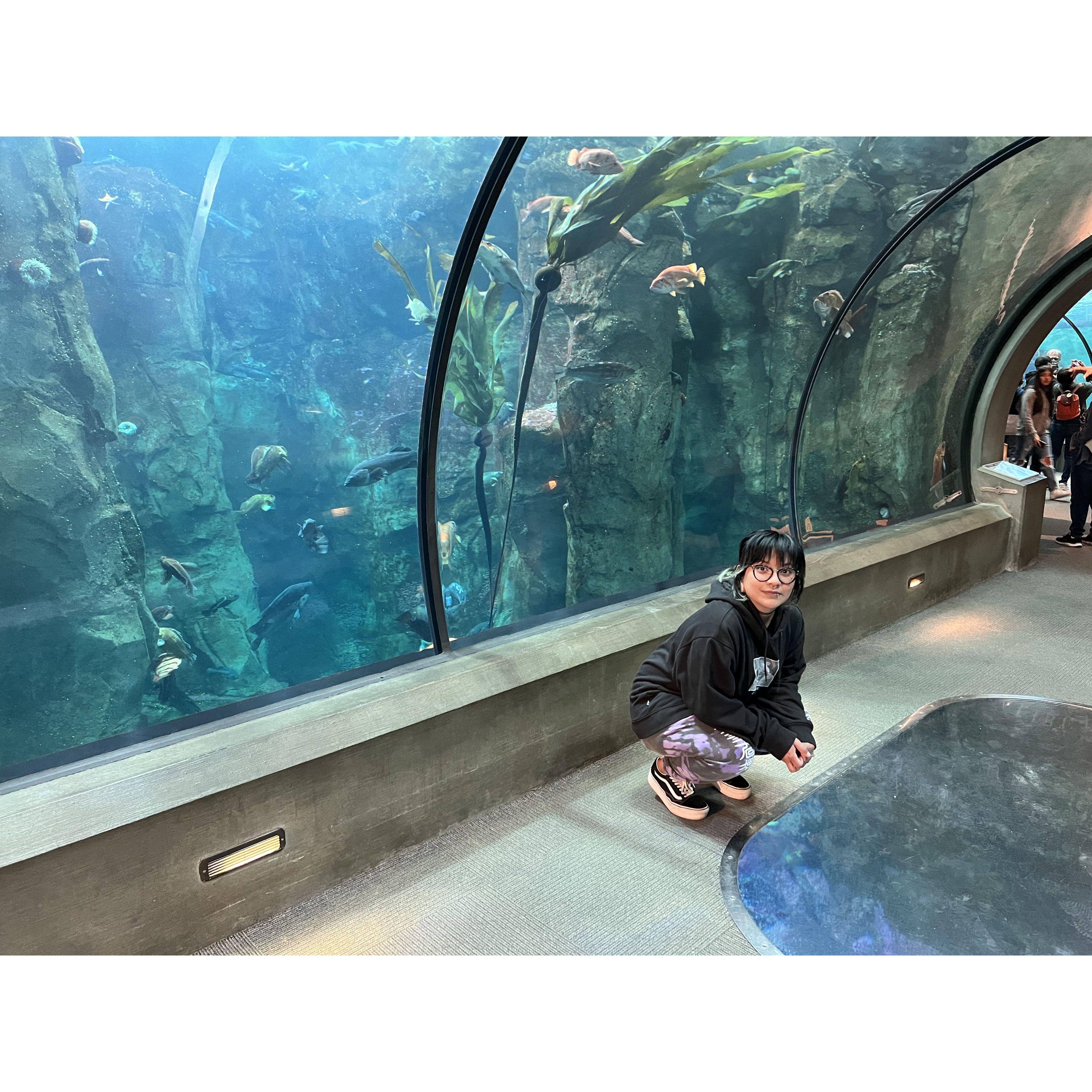 Oregon Coast Aquarium