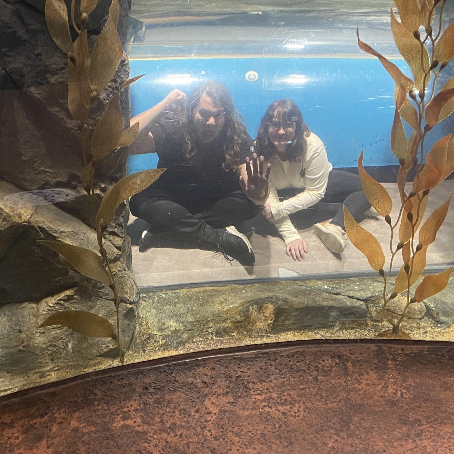 At the Georgia aquarium. November 2023