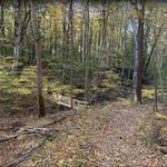 Love Creek County Park