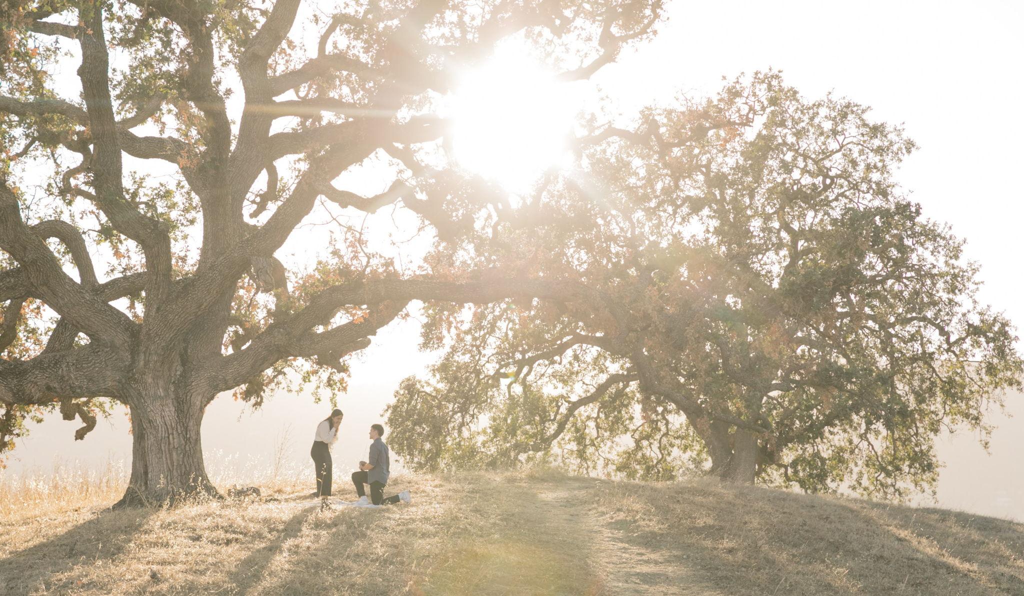 Hero Slideshow Image 2