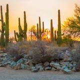 Riparian Preserve at Water Ranch