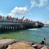Jaws Bridge🦈🎬