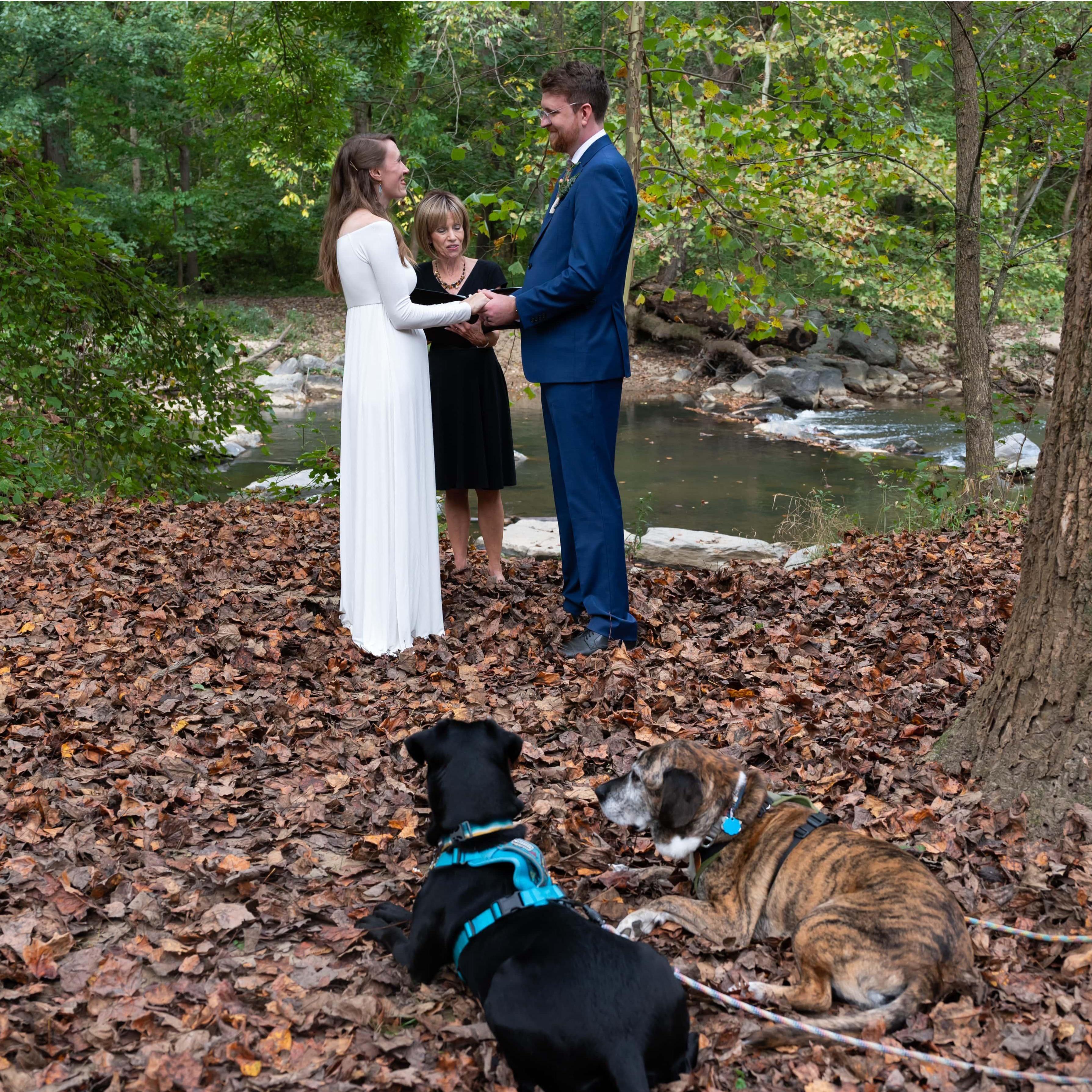 The ceremony from our "official" wedding in Rock Creek Park on Oct. 15, 2021. Berk and Oats were the only guests in attendance.