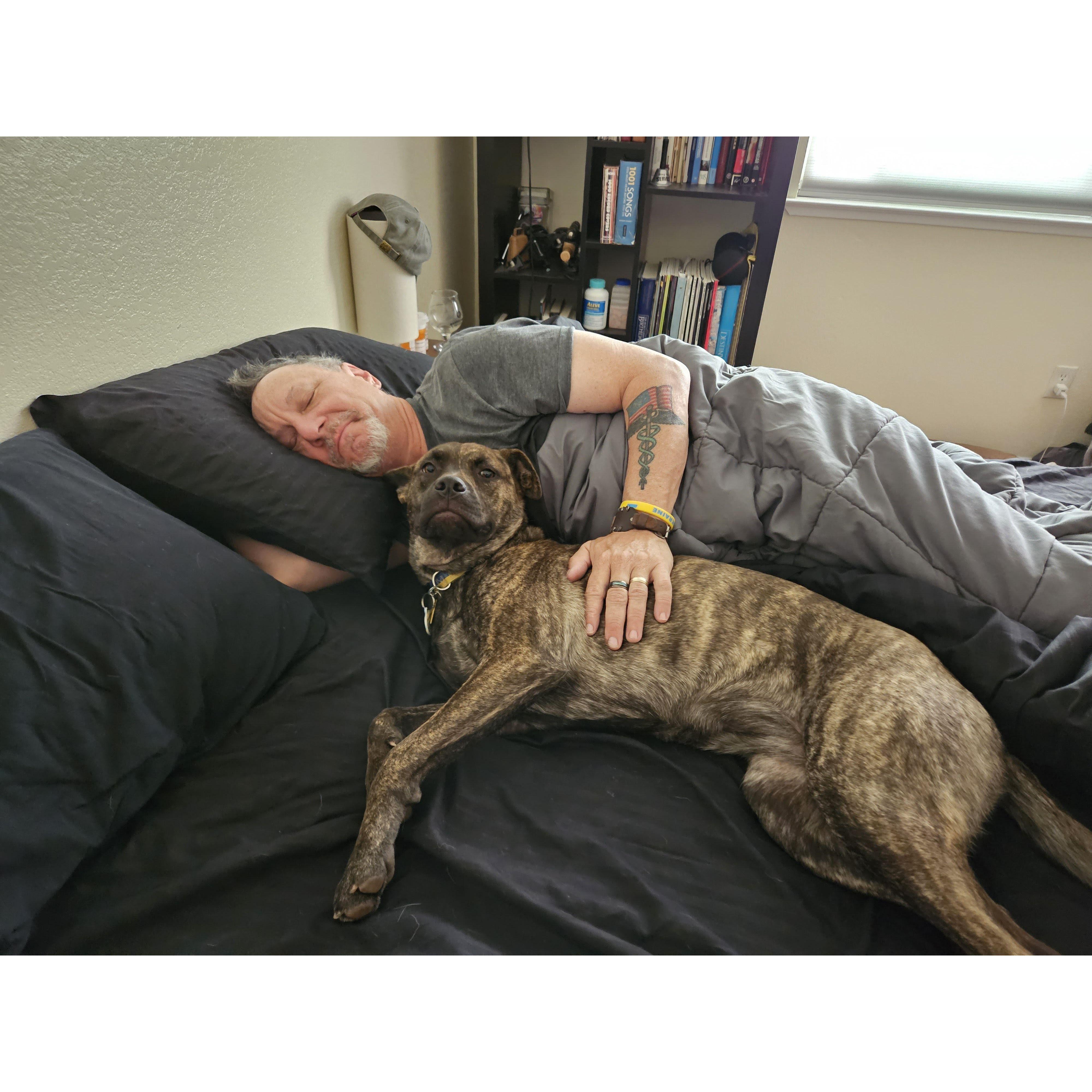 our puppy Zelenskyy "Zelly"