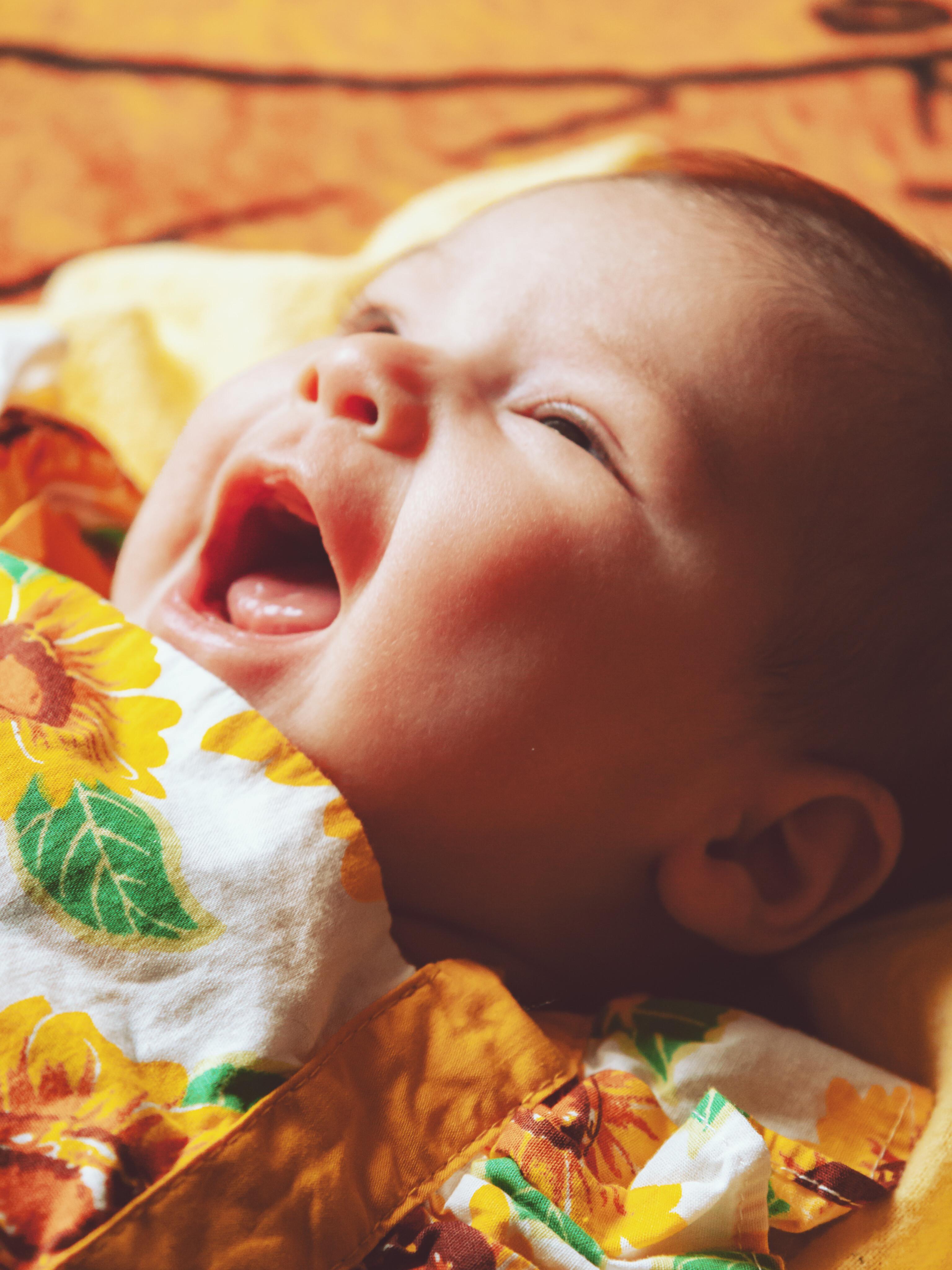 The Wedding Website of Gustavo Sandoval and Megan Ferrante