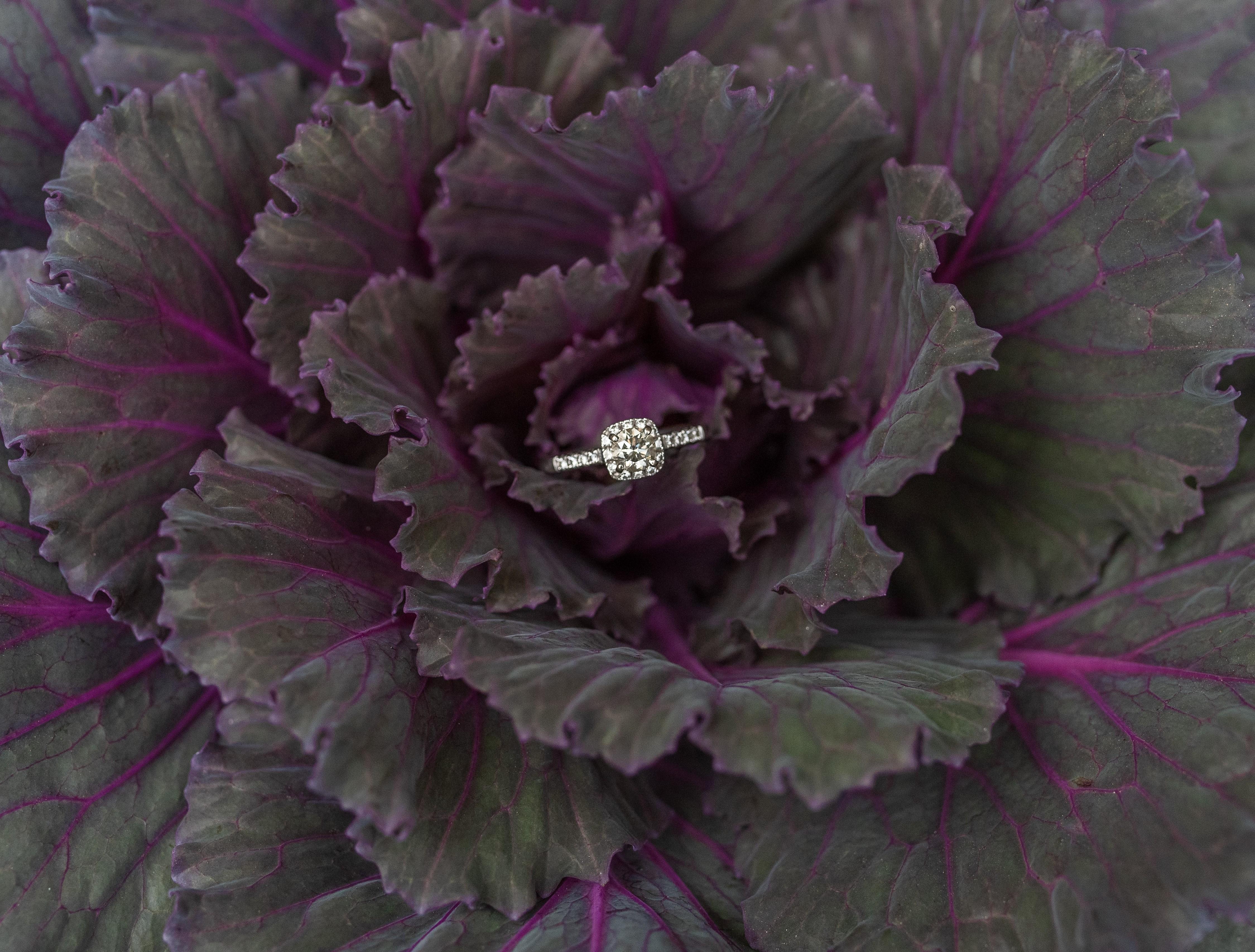 The Wedding Website of Kelly Riale and Alex Maguire