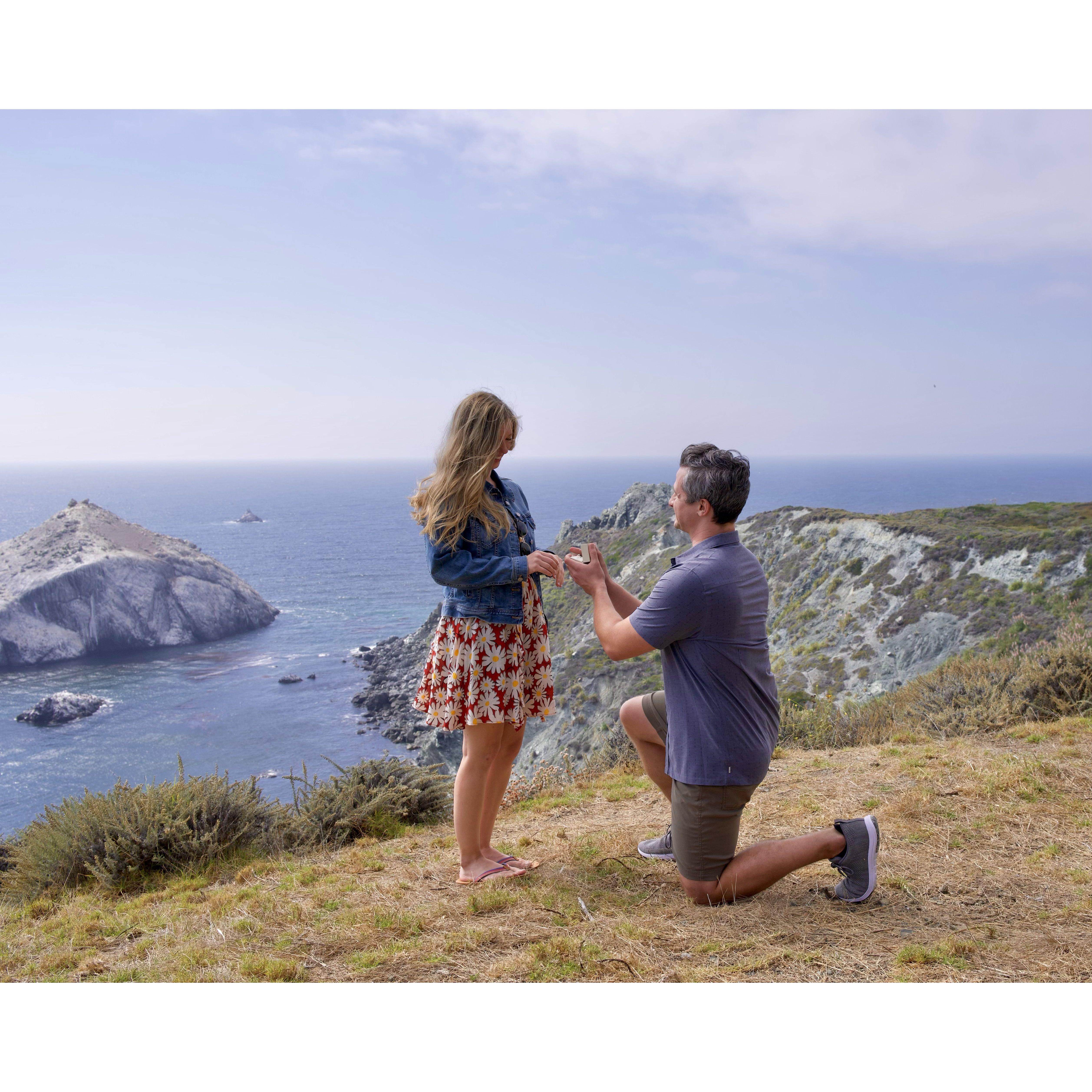 Casey proposed in Big Sur on our way to a musical festival! Our friends helped plan the surprise, and captured the photo!