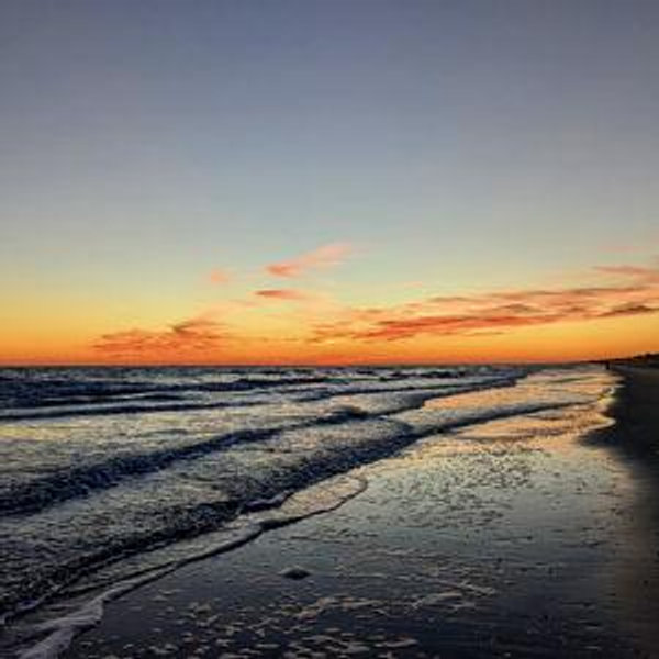 Honeymoon- Venmo
