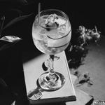 Penelope Martini Bar
