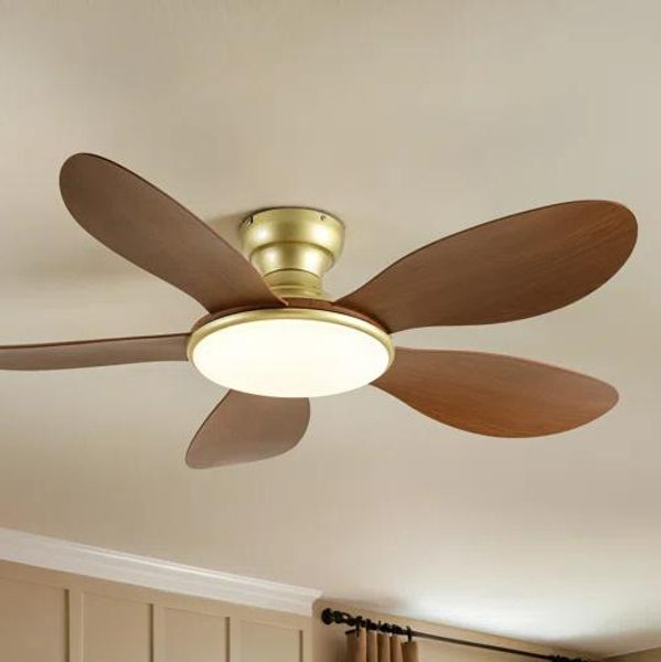 Ceiling Fans