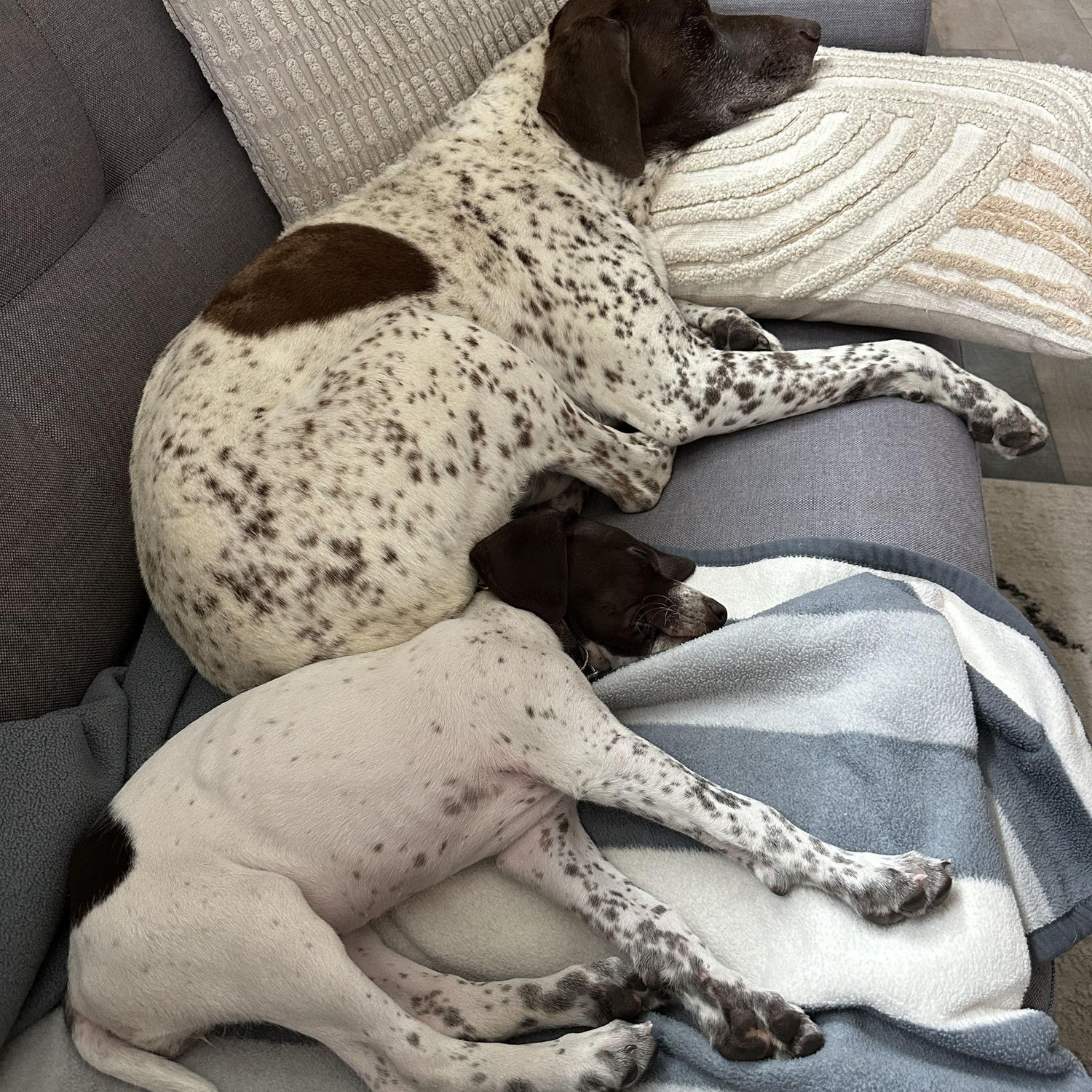 Hazel and Holly