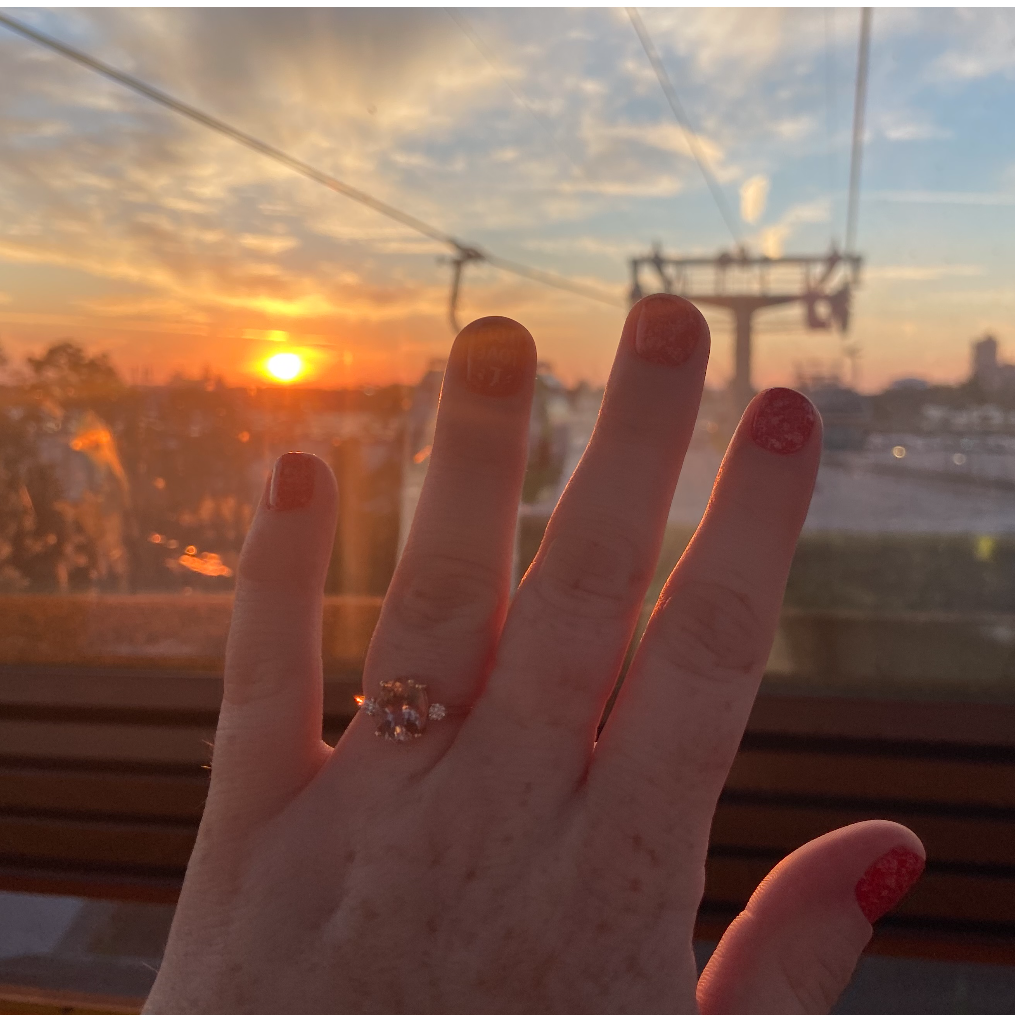 The ring on the SkyTram right after he proposed