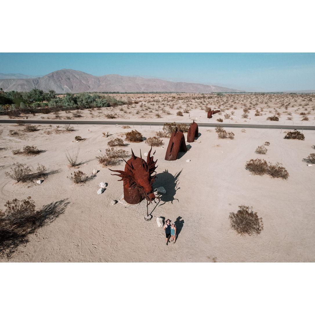 An unforgettable (and hot) trip to Anza Borrego (2021)