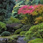 Portland Japanese Garden