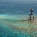Visit the Reef
