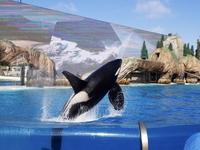 SeaWorld San Diego
