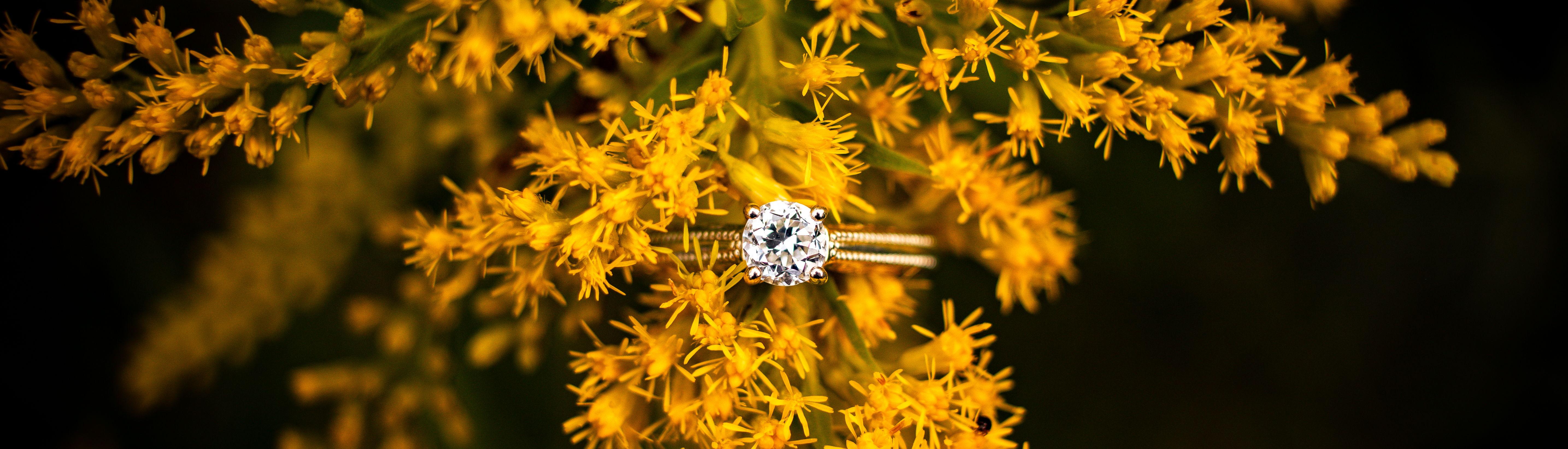 The Wedding Website of Kathryn Diane Eberhart and Spencer Levi Hagen