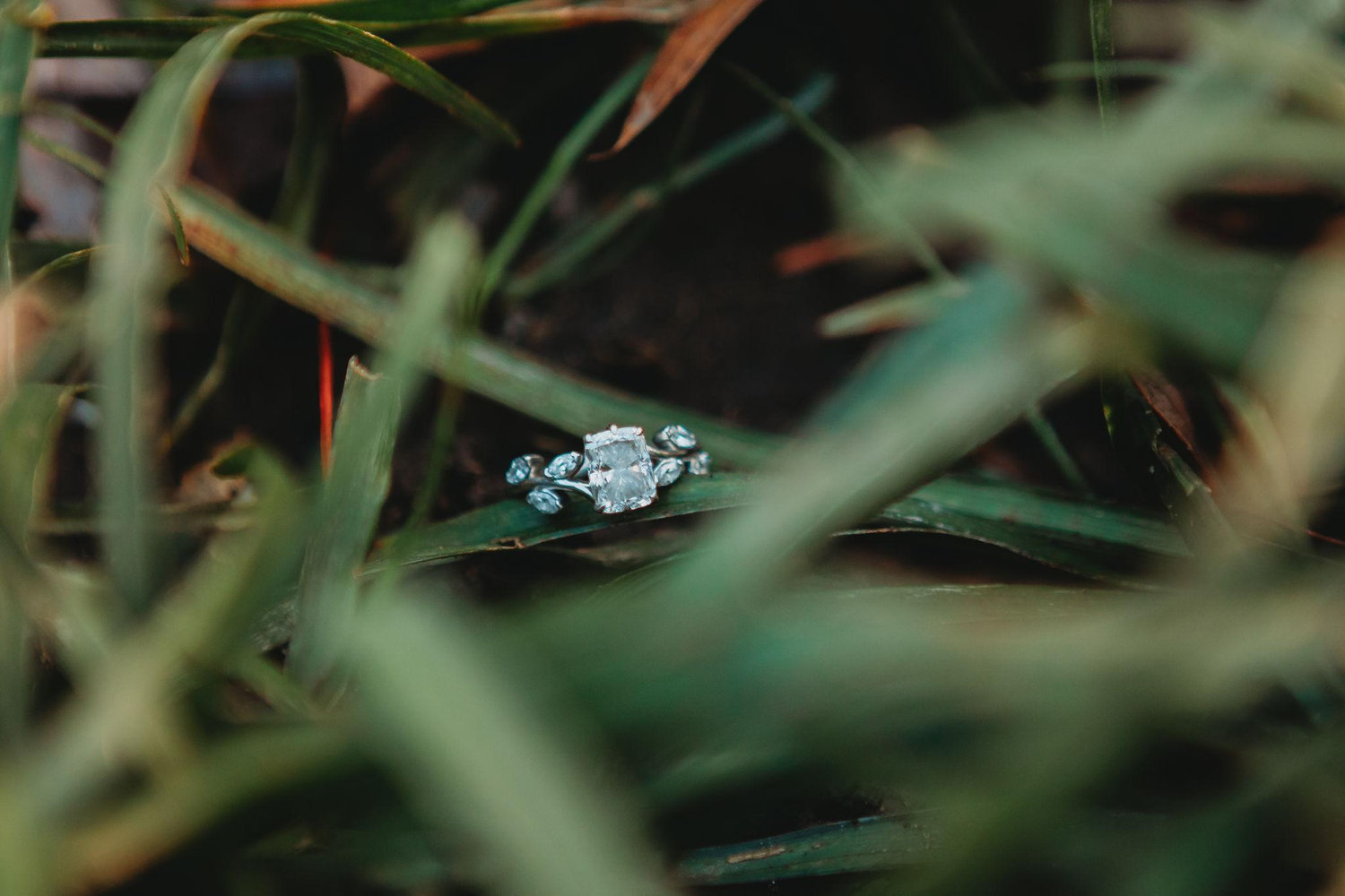 The Wedding Website of Jacqueline Rodriguez and Jesaiah Prayor