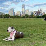 Zilker Metropolitan Park