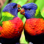 Parc des Oiseaux