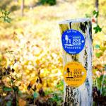 Albany Pine Bush Preserve