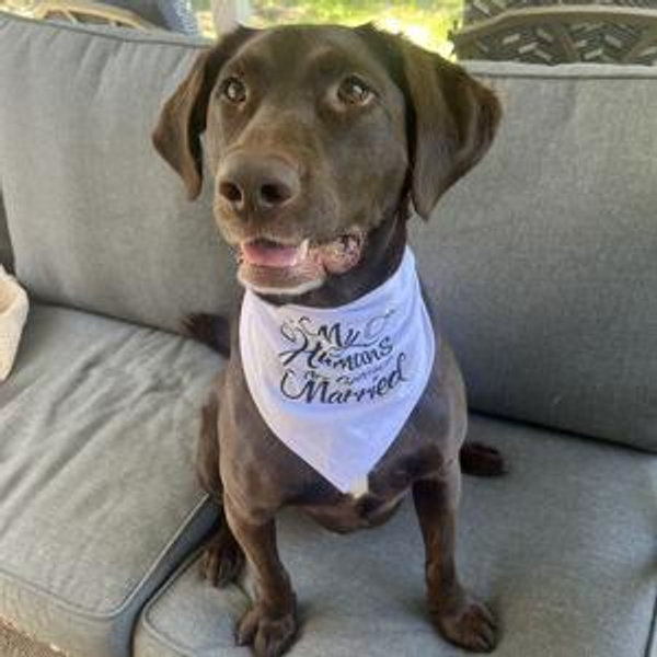 Croc's "Good Boy" Fund