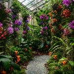 Marie Selby Botanical Gardens