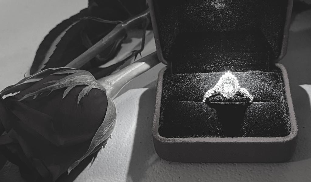 The Wedding Website of Sarah-Agnes Margurite Hoda and Christopher Luis Ayala