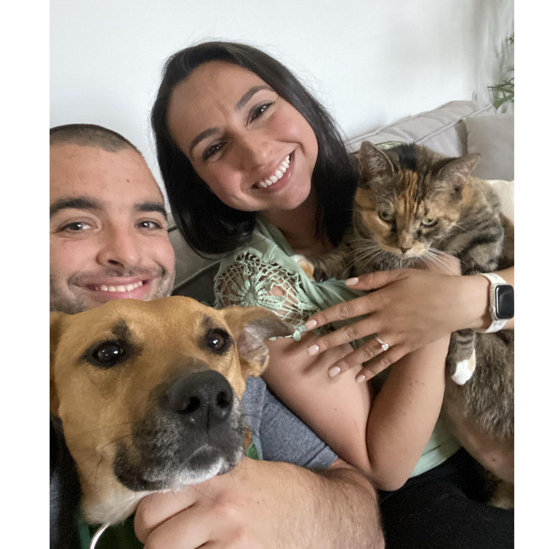 The family :)