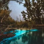 Bioluminescent Clear Kayak Tours in Titusville