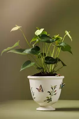 Gardenia Stoneware Pot