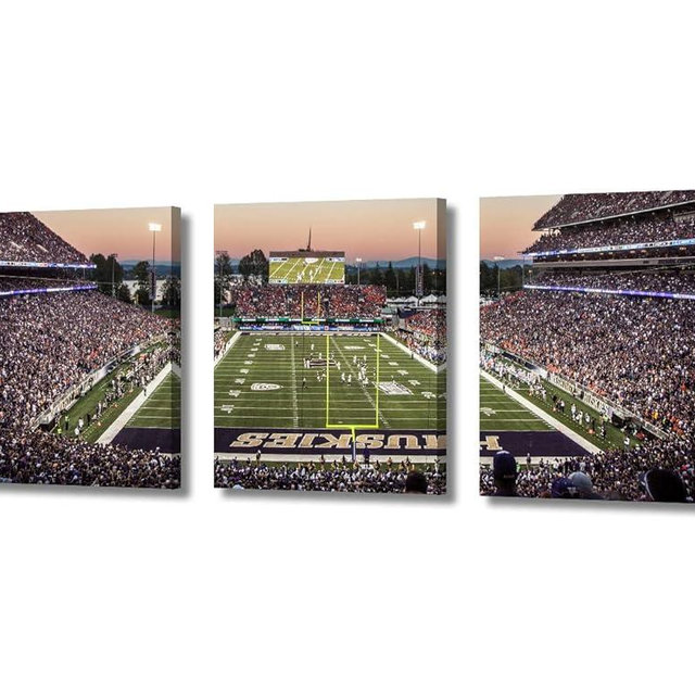 Wall Paintings for Living Room Huskies Sport Stadium Modern Office Wall Art Large Wall Decor Washington Canvas Wall Art for Bedroom Artwork Giclee Wall Decoration Framed Ready to Hang, 36"Wx16"H