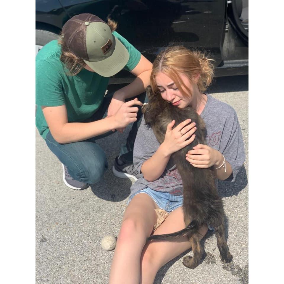 Alex and Chloe pictured meeting Chloe's puppy Archie for the first time.
