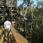 Myakka River State Park