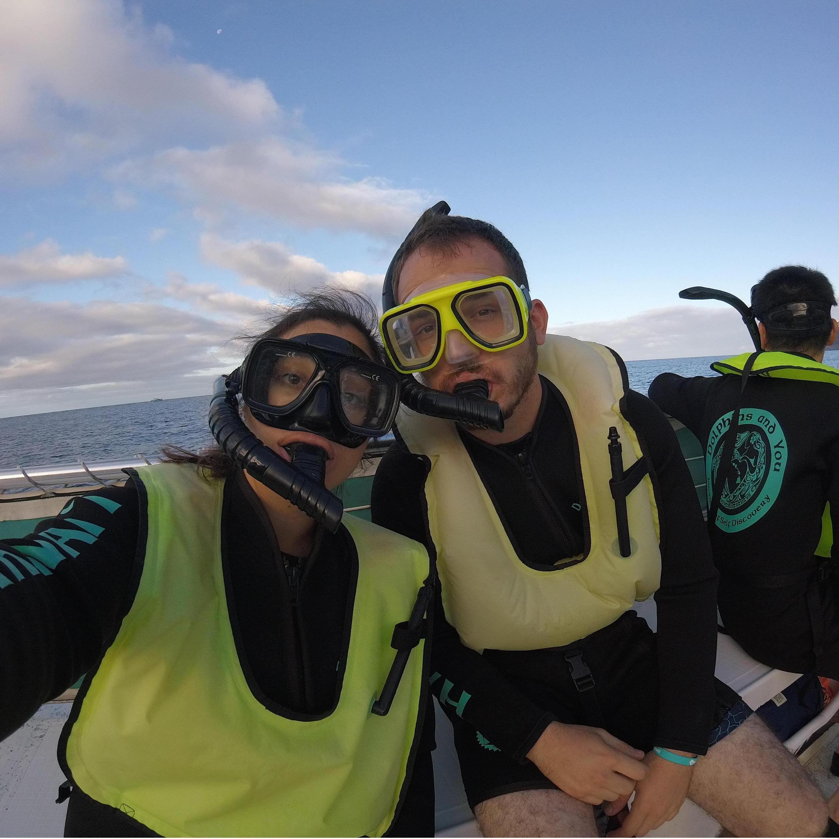When we swam with the dolphins
