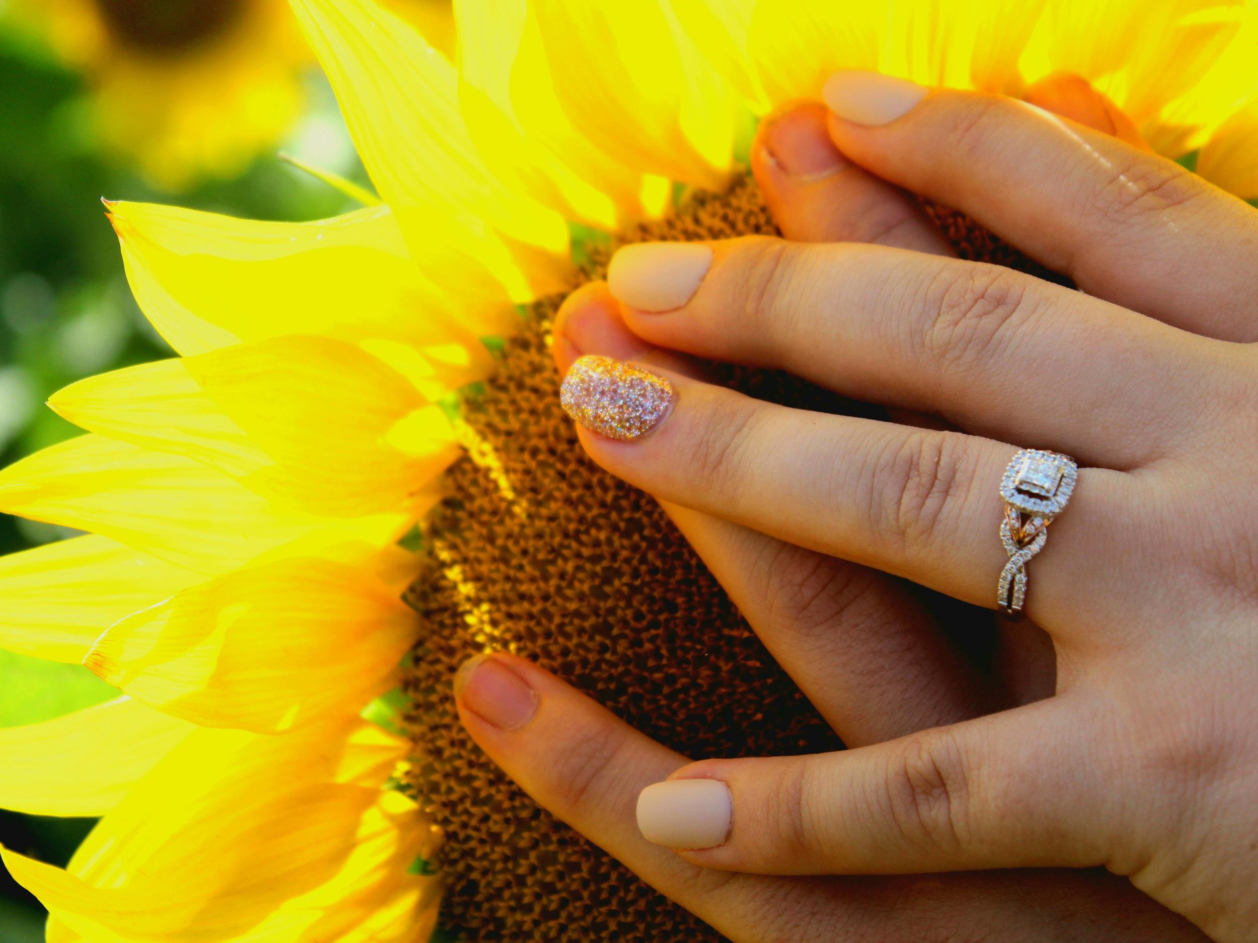 The Wedding Website of Morgan Hager and Rylee Mohr